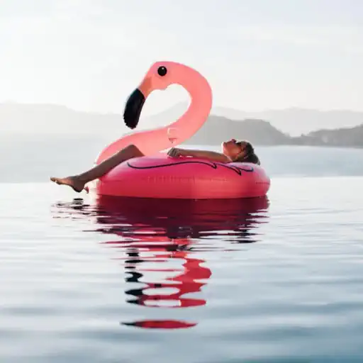 Boia Inflavel Flamingo Gigante Rosa Piscina Praia Adulto Infantil Festa e Verão